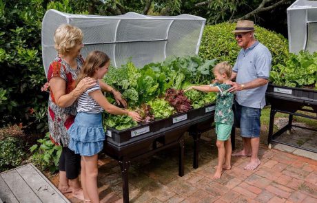 חולמים לגדל את הירקות בעצמכם? הפטנט האוסטרלי נחת בישראל