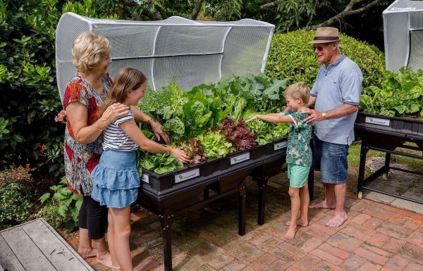 חולמים לגדל את הירקות בעצמכם? הפטנט האוסטרלי נחת בישראל