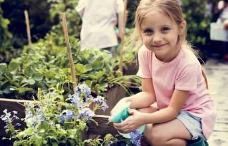 לגדל ילדים כמו במושב: פחות ממיליון שקל לדירה בחריש